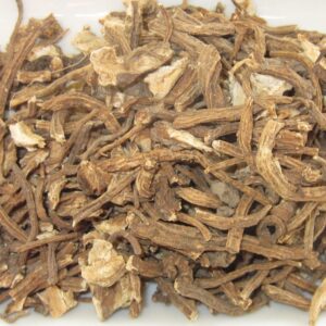 Angelica root
