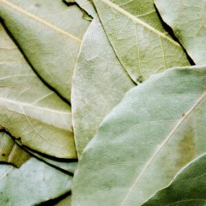 Bay Leaf