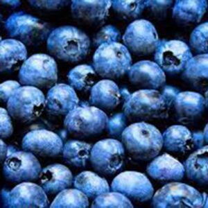Blueberries