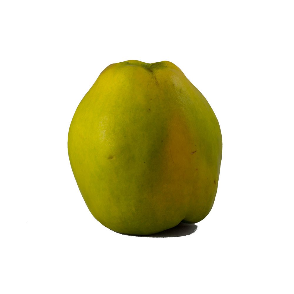 A Quince - courtesy of Rhododendrites From Wikimedia Commons, the free media repository