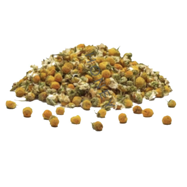 Camomile as a Gin botanical