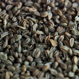 Celery Seed