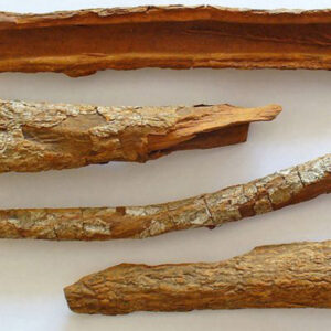 Cinchona Bark