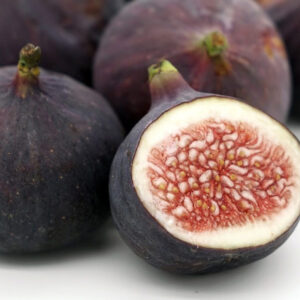 Fig