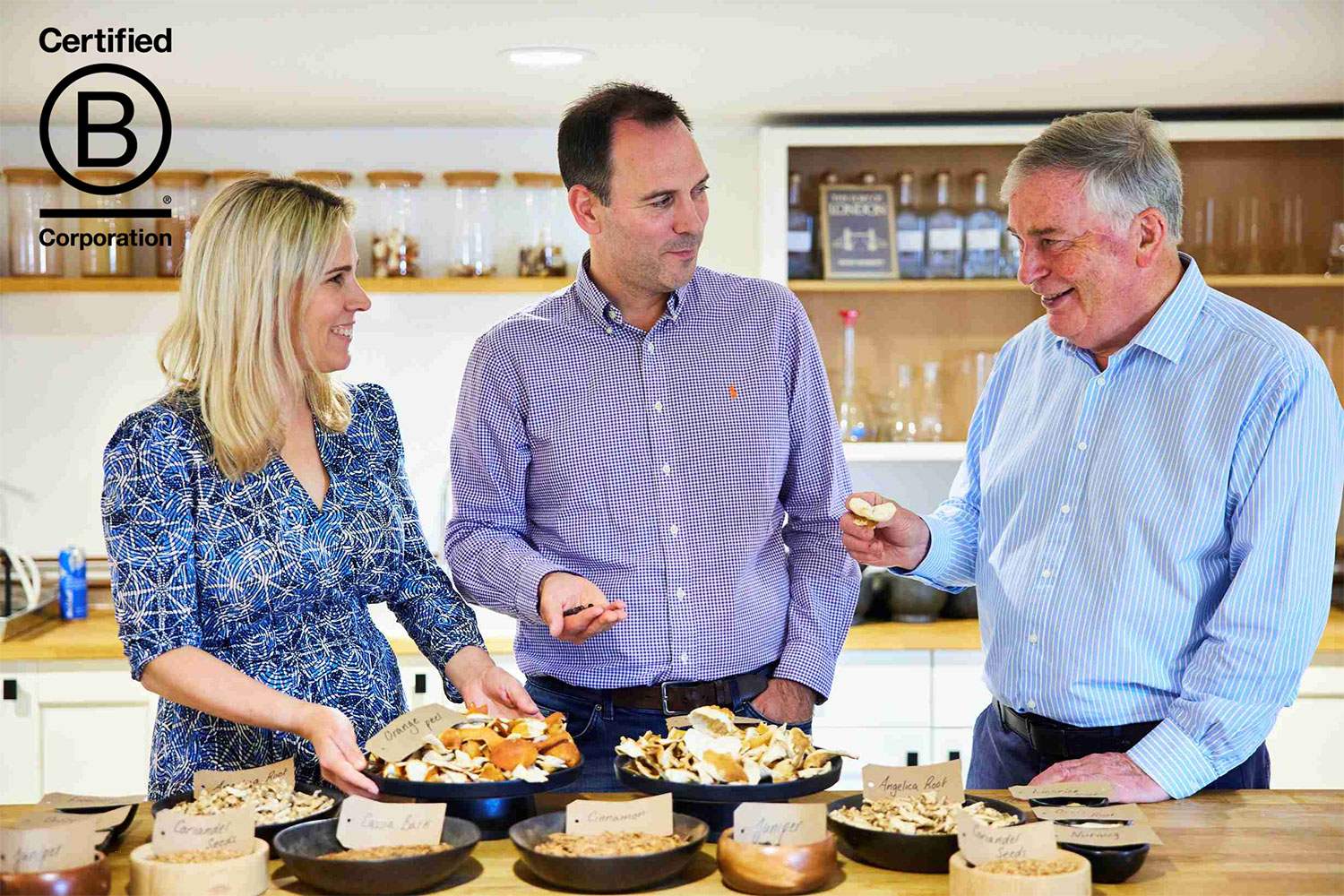 Hayman's - The Original Gin is now B Corp certified, meeting the highest standards of social and environmental performance.