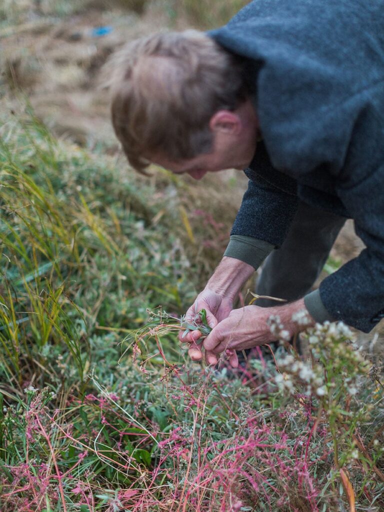 James Firth, Botanist for Fishers Gin