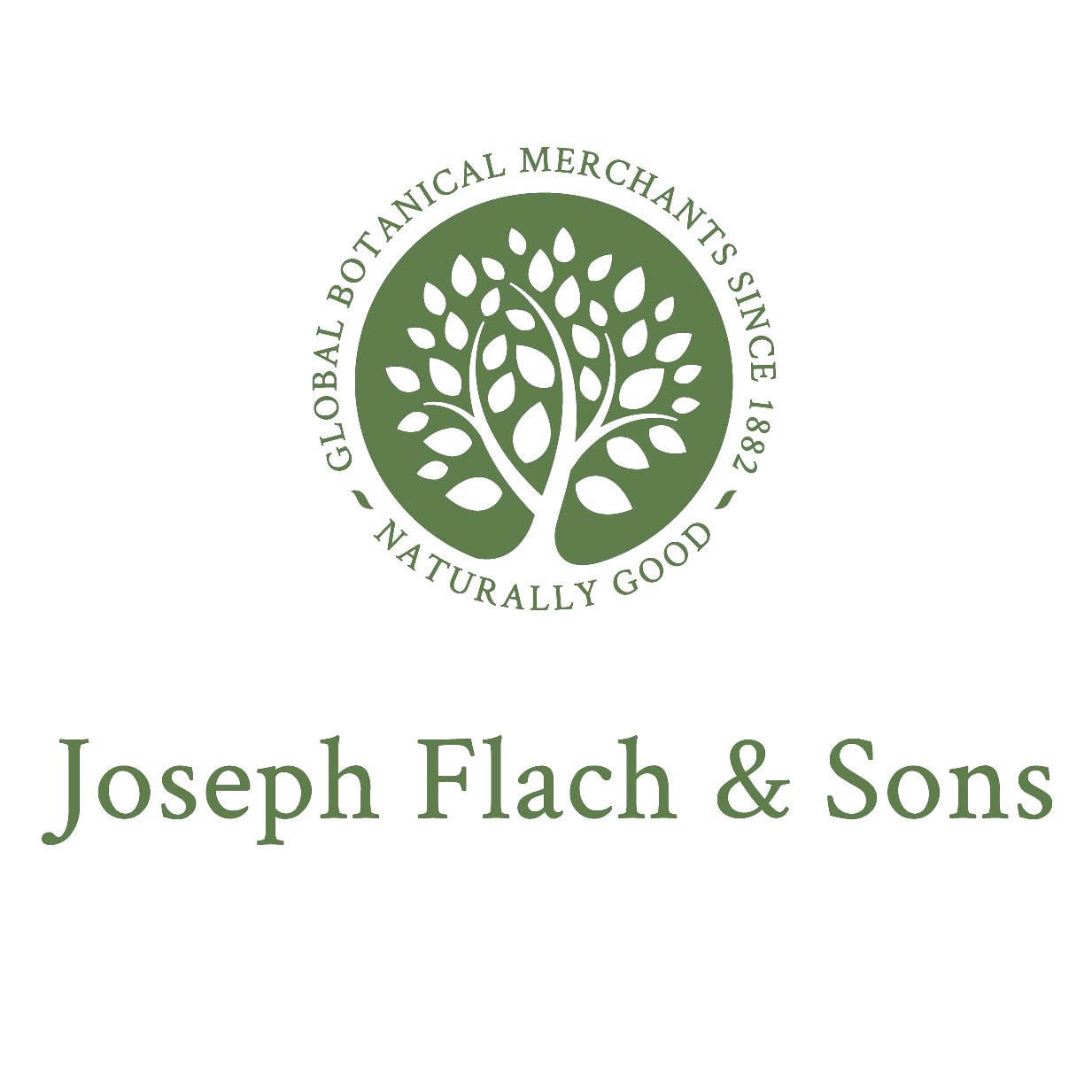 Joseph Flach & Sons