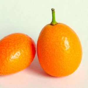 Kumquat