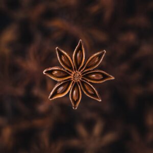 Star Anise