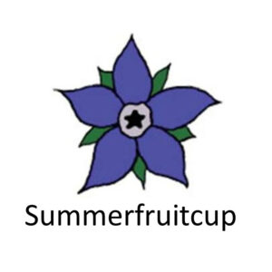 Summer Fruit Cup