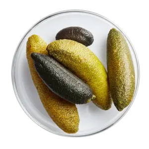 Finger Limes