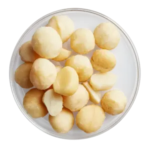 Macadamia