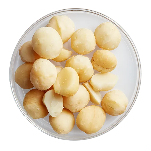 Macadamia nuts